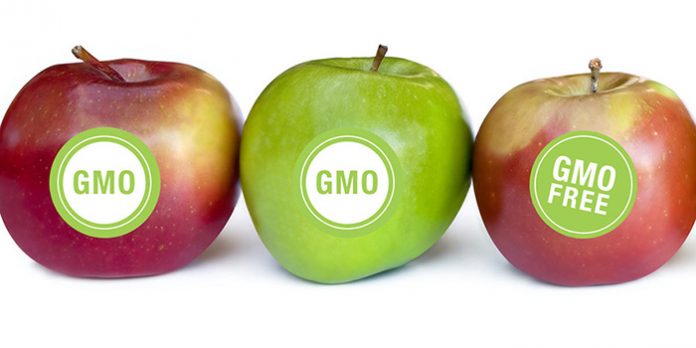 gmo apple