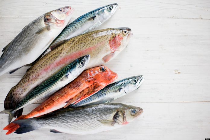 seafood
